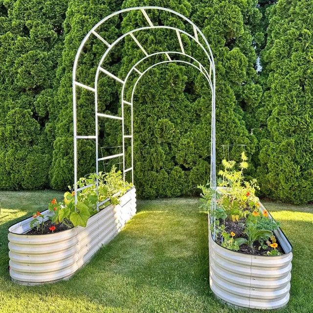 Arched Trellis (Zn-Al-Mg Steel) For 8ft.L/ For 6.5ft.L