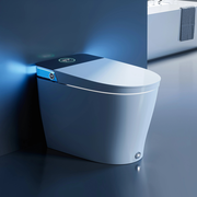 Bidet Combo Toilet with Mood Light for 12 Inch Rough In Model T38