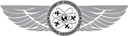 Academy of Aeronautics logo
