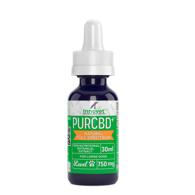 CBD Oil for Dogs