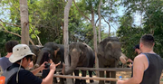 Kulen Elephant Forest & Tonlesap Lake Include boat /Transfer
