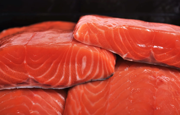 Wild Copper River Sockeye Salmon