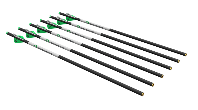 Carbon Arrows - 6pk