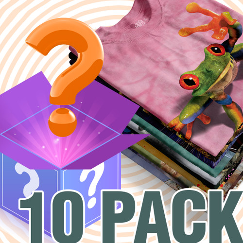 Mystery T-Shirt 10 Pack