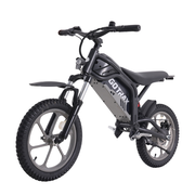 Fitz16 Electric Dirt Bike for Kids