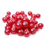 Fresh Frozen Organic Red Currants