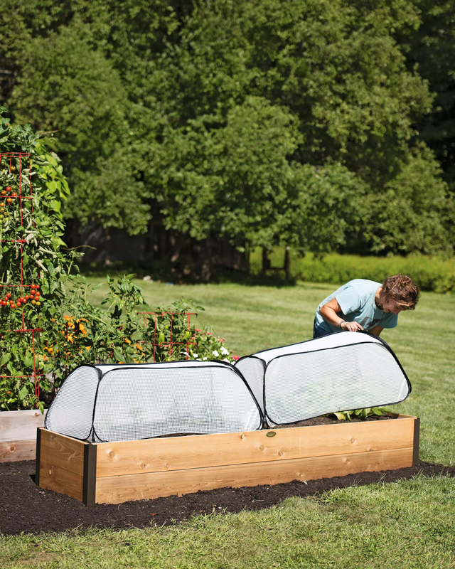 Row Shelter Accelerator