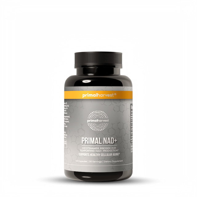 Primal NAD+