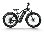 Himiway D3 (Cruiser) | Long Range Fat Tire Electric Bike
