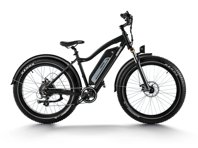 Himiway D3 (Cruiser) | Long Range Fat Tire Electric Bike