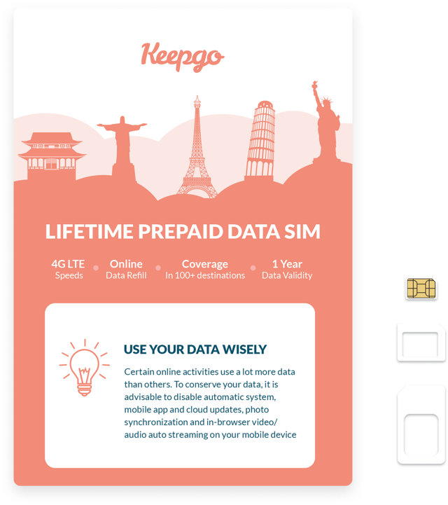Lifetime World SIM Card