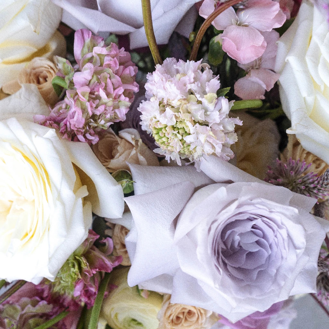 Cotopaxi Pink DIY Flower Kit