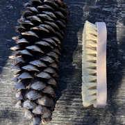 Cleaning Brushes: Tampico