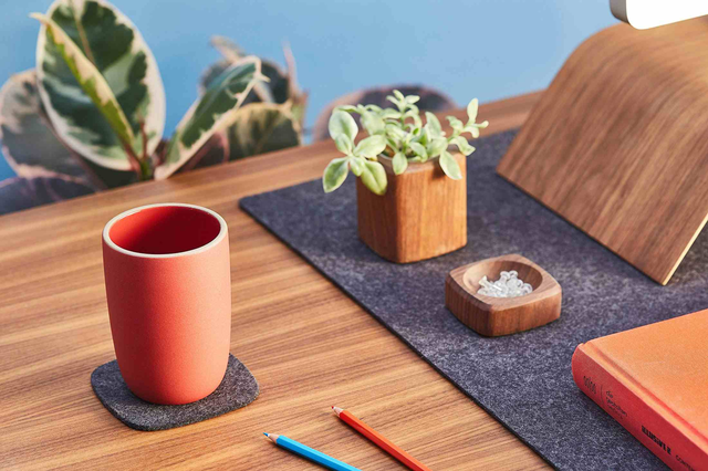 Wool Felt Coaster Set