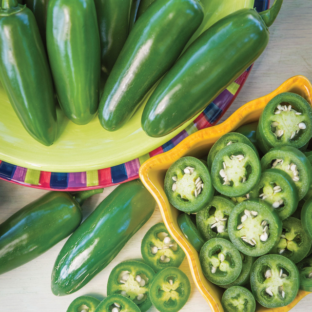 Ring Leader Hot Jalapeno Pepper Plant