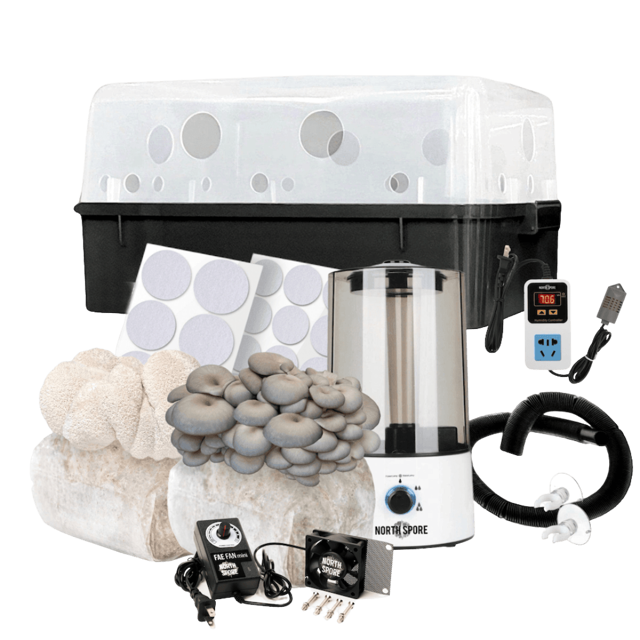 Automated 'Boomr Bin' + Fruiting Blocks Monotub Kit