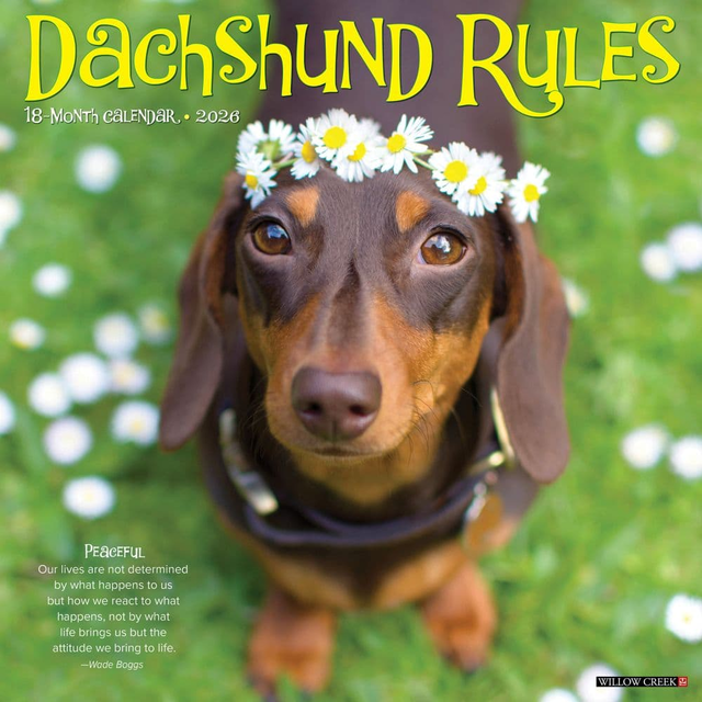 Dachshund Rules 2026 Wall Calendar