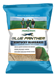 Blue Panther® Kentucky Bluegrass Grass Seed