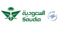 Cheap Flights to Saudi Arabia