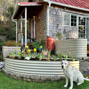 17'' Tall New Moon Shaped Raised Garden Bed