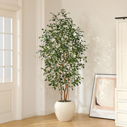 Adcock 8ft Artificial Ficus Tree with White Tall Planter, Faux Ficus Tree with Natural Trunk