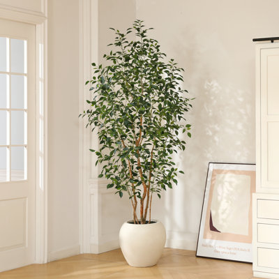 Adcock 8ft Artificial Ficus Tree with White Tall Planter, Faux Ficus Tree with Natural Trunk