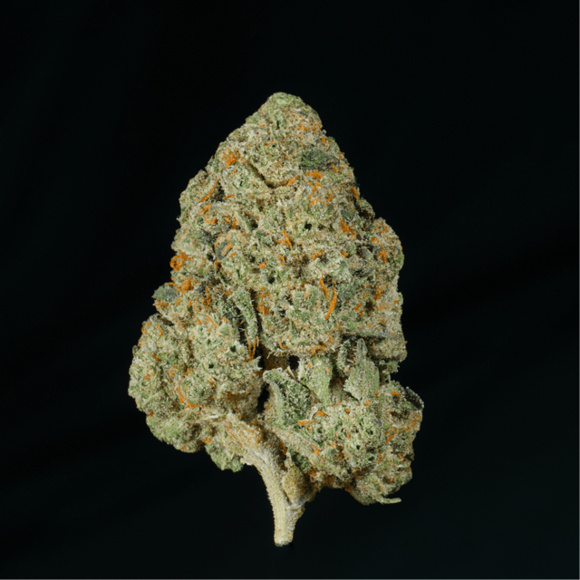 White Gummy THCA Flower