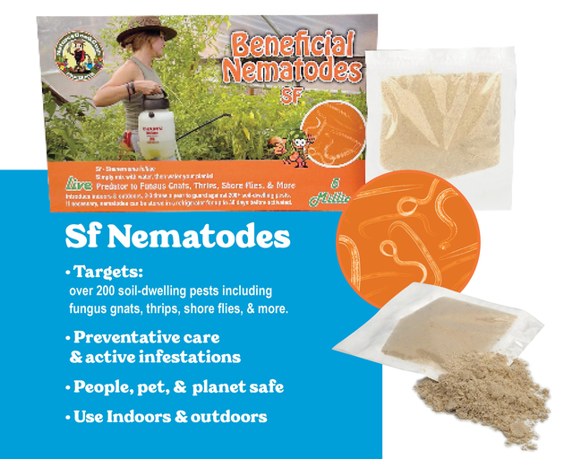 Beneficial Nematodes SF – Targets Fungus Gnats, Thrips, Shore Flies & More