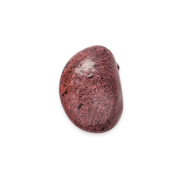 Ayocote Morado Beans