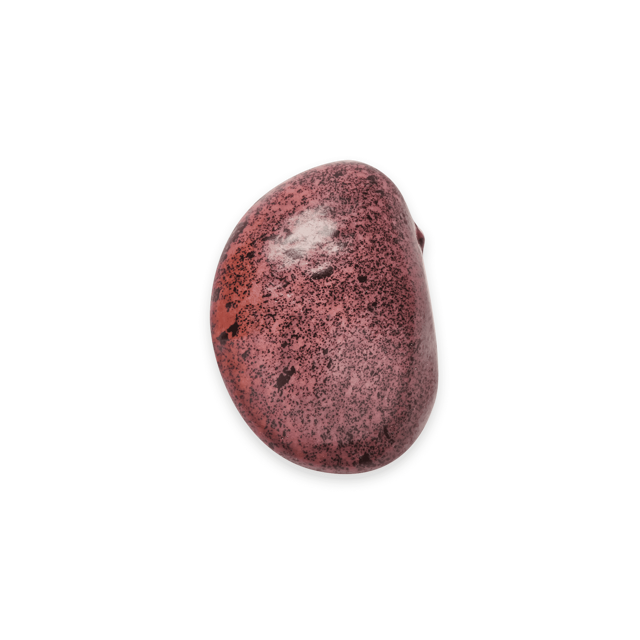 Ayocote Morado Beans