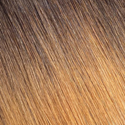 BELLAMI Silk Seam 50g 18" Volumizing Weft Dark Brown/Ash Brown Ombre (O2/8)