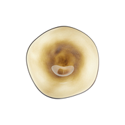 Glass Haze Plate | Earth