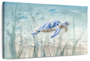Undersea Turtle Wall Art