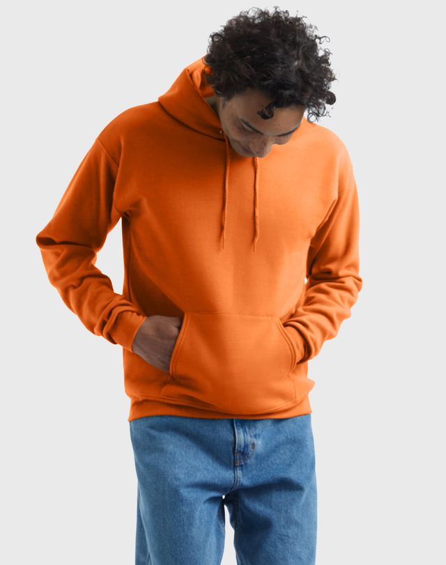 Hanes EcoSmart Men's Fleece Hoodie (Big & Tall Sizes Available)