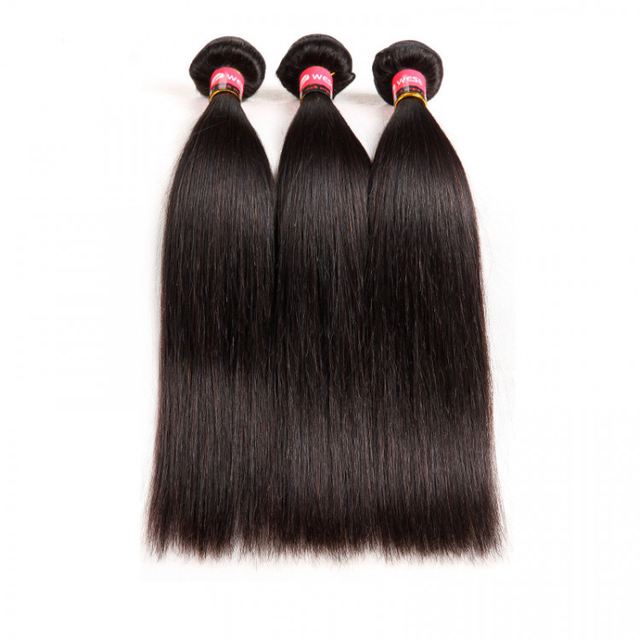 West Kiss Virgin Hair 9A Malaysian Virgin Hair Straight Hair Bundles 3Pcs