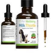 Milk Thistle - for Healthy Liver Function in Dogs