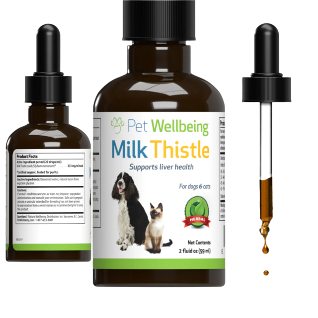 Milk Thistle - for Healthy Liver Function in Dogs