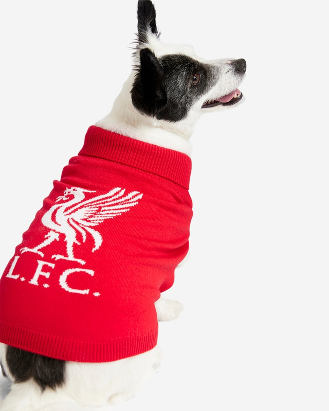 LFC Dog Knitted Jumper
