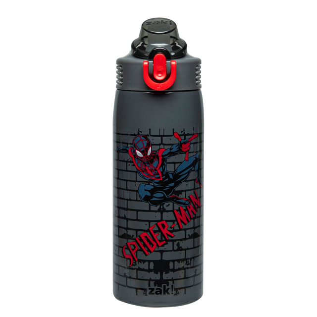 Sage Insulated Bottle, 19 oz.