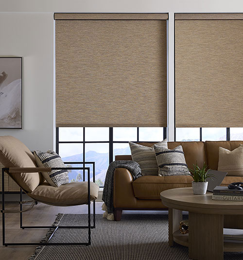 Levolor Roller Shades: Room Darkening
