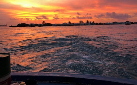 $713 Cheap Flights from Greenville (GSP) to Male (MLE)