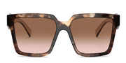 Prada PR24ZS Gold, Tortoise, Brown