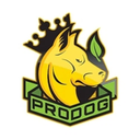 ProDog Raw logo