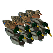 Flight Flocked Mallard Combo Pack