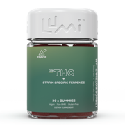 Watermelon Sorbet | Hybrid