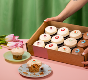 Carrot Assorted Dozen