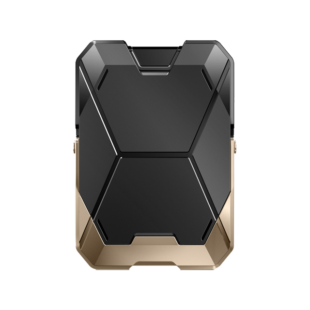 Magnetic Wallet with Stand-Gold