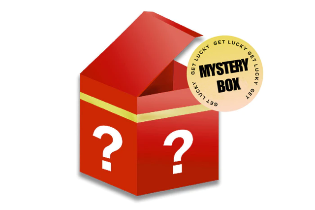 FairRC Mystery Box (FCX18 LC80 Brushless Mod RTR - Never-Sold-Before)