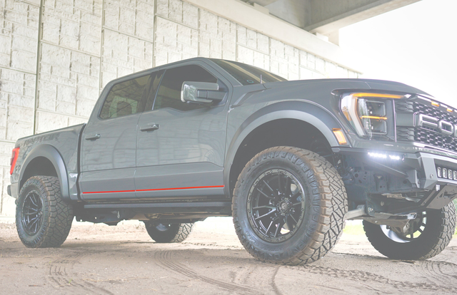 Lower Door Line Accent Trim Fits 2021-2026 Ford F-150