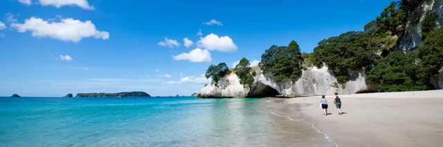 Book Air Canada flights to New Zealand | Air Canada